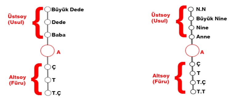 HISIMLIK NEDİR - SOYBAĞI - SOY AĞACI - KAN BAĞI NEDİR (2022)